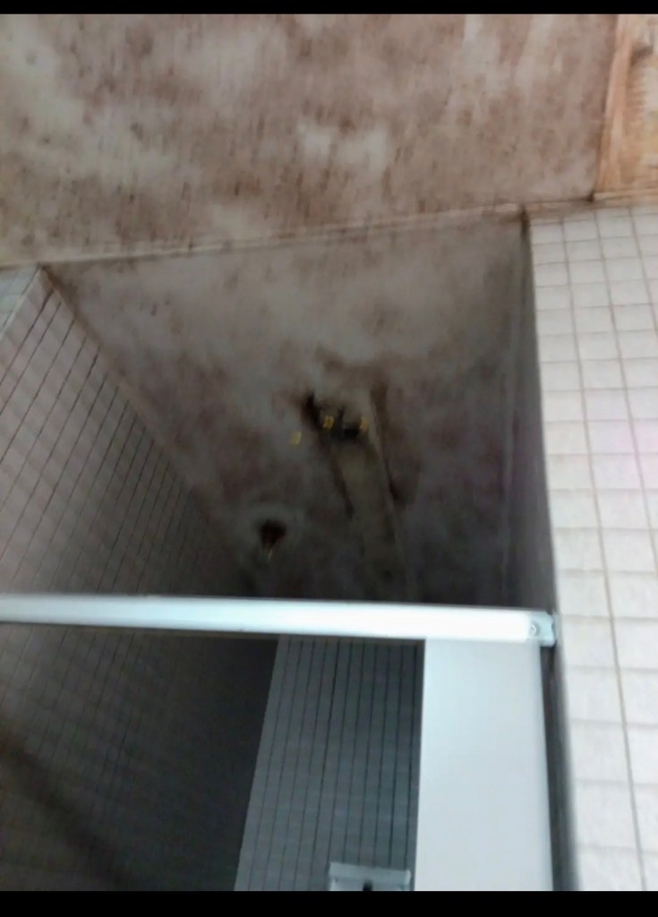 FCI Edgefield (SC)
Unsafe Living Conditions, Staff Misconduct, and Repeated Inappropriate Staff Interactions