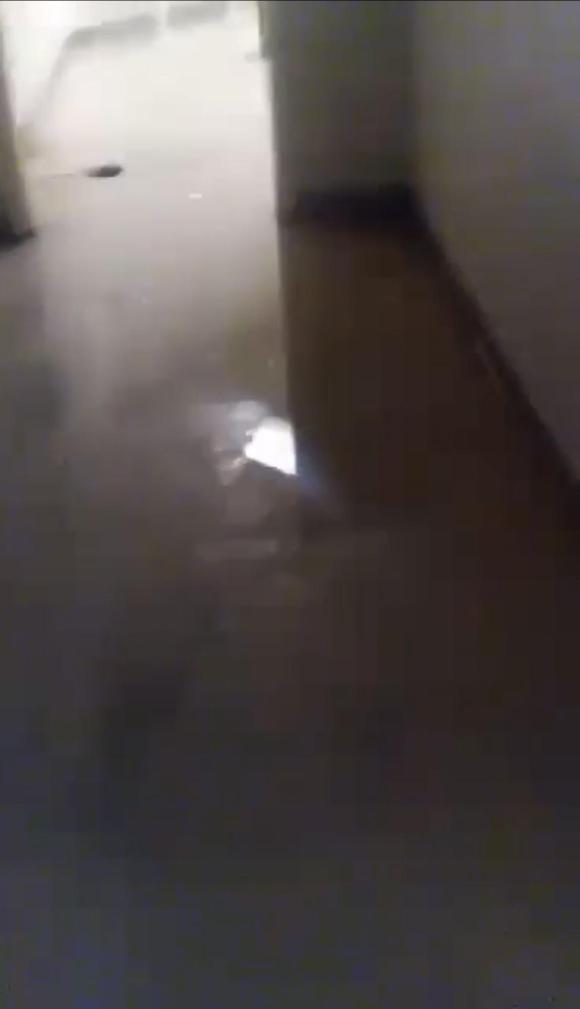 FCC Forrest City (AR)
Infrastructure Deterioration, Ceiling Collapse Concerns, Black Mold Allegations, Unsanitary Living Conditions, Food Service Complaints, Property Concerns, and First Step Act Application Issues