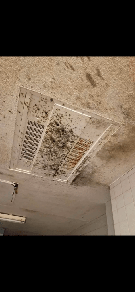 FCC HAZELTON (WV)
Environmental Health Concerns, Suspected Mold Exposure, Infrastructure Deterioration, First Step Act Application Concerns, Second Chance Act Placement Disputes, and Retaliation Allegations