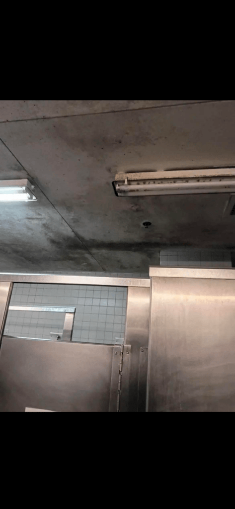 FCC HAZELTON (WV)
Environmental Health Concerns, Suspected Mold Exposure, Infrastructure Deterioration, First Step Act Application Concerns, Second Chance Act Placement Disputes, and Retaliation Allegations