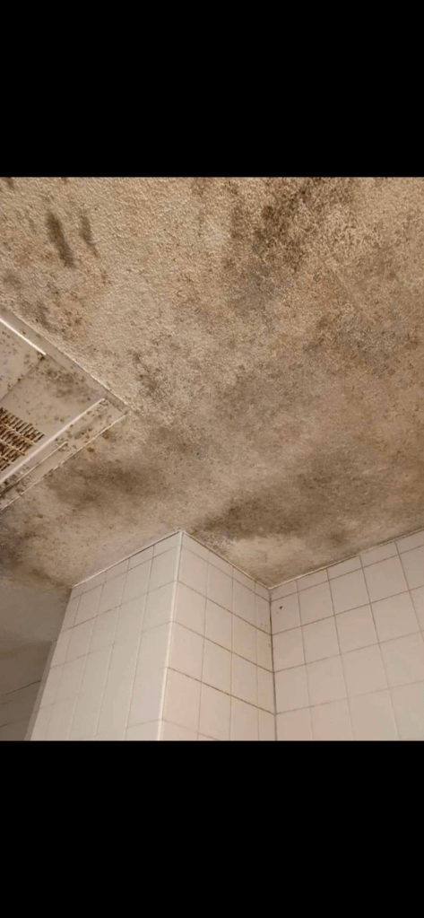 FCC HAZELTON (WV)
Environmental Health Concerns, Suspected Mold Exposure, Infrastructure Deterioration, First Step Act Application Concerns, Second Chance Act Placement Disputes, and Retaliation Allegations