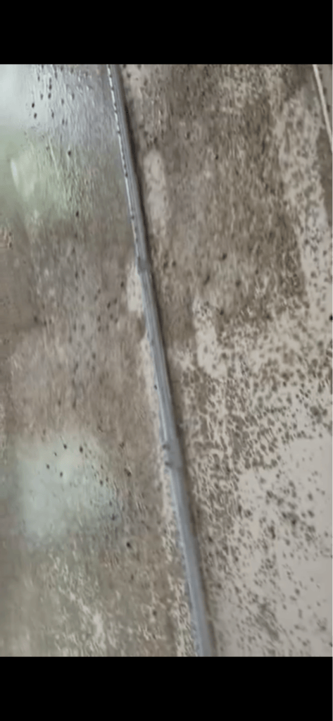 FCI ASHLAND
Moisture Intrusion, Suspected Mold or Microbial Growth, Deteriorating Interior Surfaces, Electrical Concerns, and Conditions of Confinement

