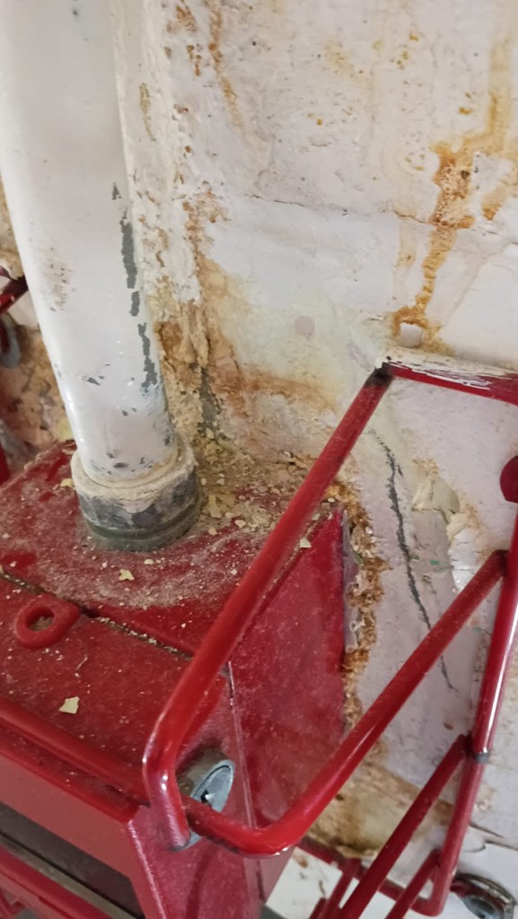 FCI ASHLAND
Moisture Intrusion, Suspected Mold or Microbial Growth, Deteriorating Interior Surfaces, Electrical Concerns, and Conditions of Confinement
