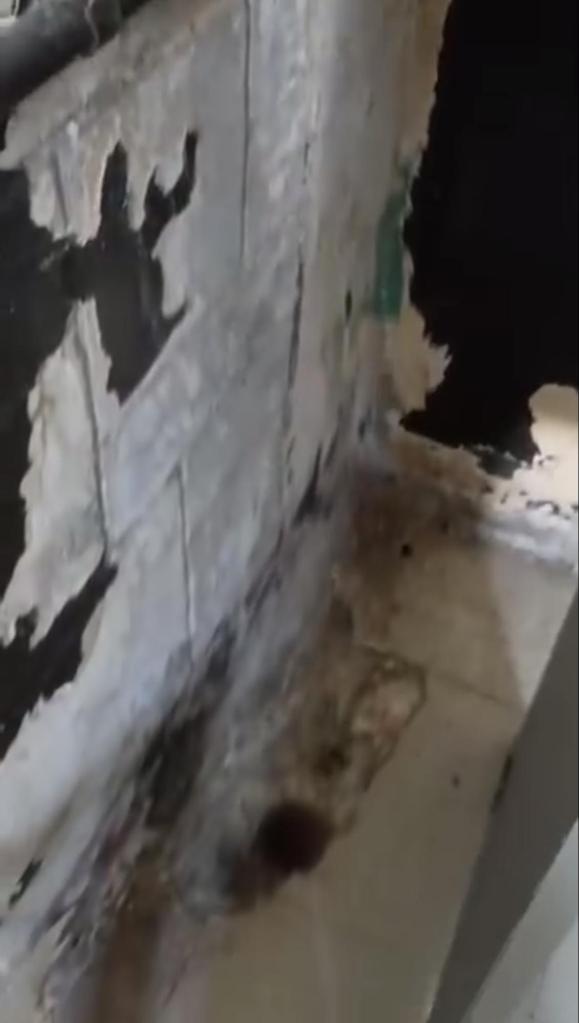 FCI ASHLAND
Moisture Intrusion, Suspected Mold or Microbial Growth, Deteriorating Interior Surfaces, Electrical Concerns, and Conditions of Confinement

