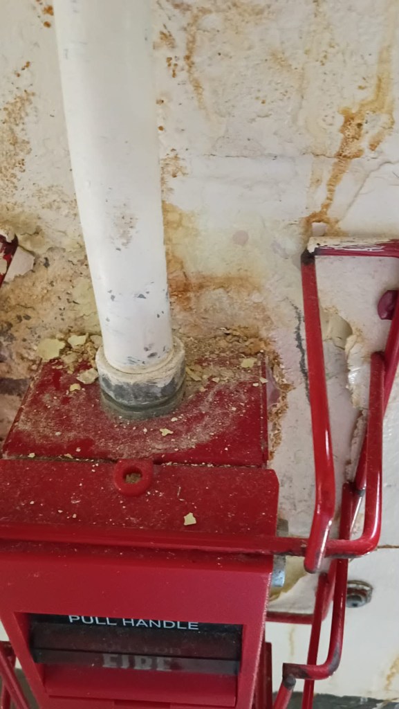 FCI ASHLAND
Moisture Intrusion, Suspected Mold or Microbial Growth, Deteriorating Interior Surfaces, Electrical Concerns, and Conditions of Confinement
