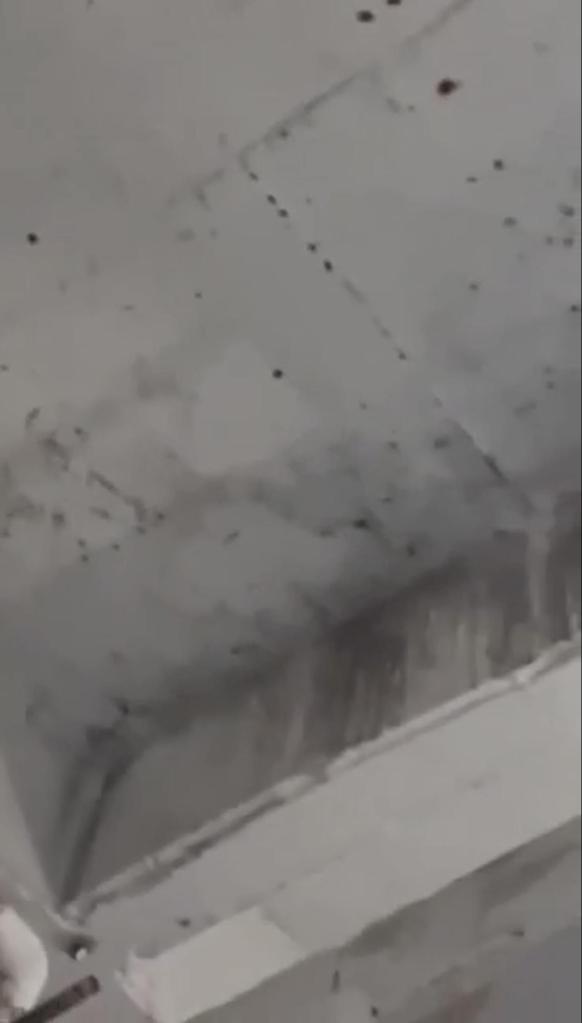 FCI BEAUMONT LOW
Severe Deterioration of Housing and Shower Areas, Reported Mold, Moisture Damage, Sanitation Concerns, and Reported Respiratory Symptoms